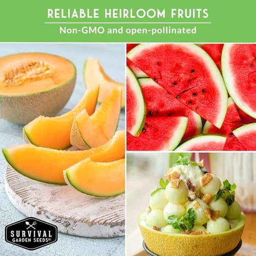 Fruit Seeds for Planting 8 Variety Pack - Non-GMO Heirloom Fruits - Image 6