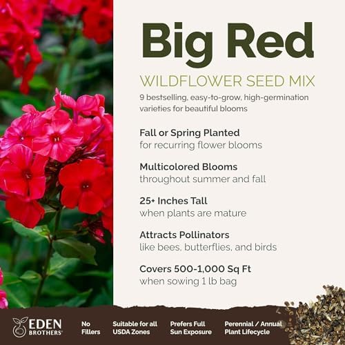 Eden Brothers Big Red Flower Mixed Seeds for Planting, 1 lb, 480,000+ Seeds with Painted Daisy Flame, Zinnia, Red Phlox | Attracts Pollinators, Plant in Spring or Fall, Zones 3, 4, 5, 6, 7, 8, 9, 10 - Image 2