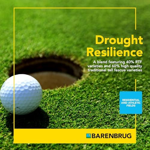 Barenbrug Turf Saver RTF Grass Seed with Yellow Jacket Seed Coating - Less Water Self-Repairing Tall Fescue Turf for Use on Sports Field, Golf Courses, Parks, Lawns, and Yard (10 LB Bag) - Image 4