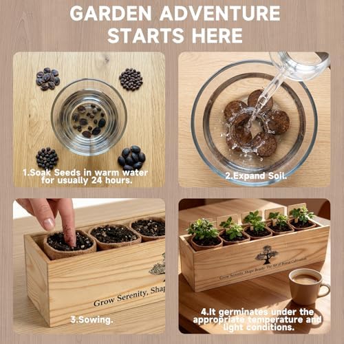 5X Bonsai Starter Kit, Bonzai Seed Kits, Durable Planting Bags, Complete Indoor Starter Kit for Growing Bonsai Plants, Gardening Gifts for Women & Men - Image 3