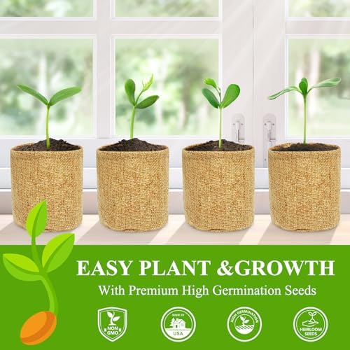 Indoor Herb Garden Kit, Culinary Herb Starter Kit with Seeds & Tools for Beginners, Kitchen Decor, House Warming Gifts for New Home, for Christmas, Ultimate Birthday Gifts for Women Men Mom Dad - Image 4