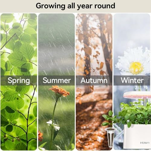 Wild Flower Seed Hydroponic Pod Kit Compatible with Aerogarden, Ahopegarden, Letpot, 7 Pods with Variety Seeds(Blush Hibiscus, Coneflower, Dahlia, Viola, Lavender, French Marigold, Snapdragon) - Image 5