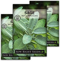 Sow Right Seeds - Sage Seed for Planting Perennial Herb Kitchen Garden 3pk by SowRightSeeds