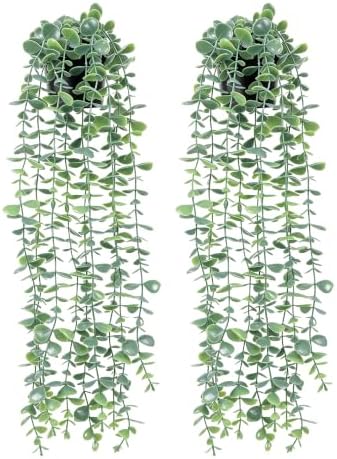 YAYUZEST 2pcs 24" Fake Hanging Eucalyptus Plant for Bathroom Wall Art Decor by Unknown