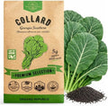 Organo Republic Collard Georgia Southern Seeds Pack 5G - Over 1900 Non-GMO Heirloom Collard Seeds for Planting Vegetable in Individual Seed Packet Vegetables Seeds for Planting Indoor & Outdoor by OrganoRepublic