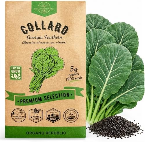 Organo Republic Collard Georgia Southern Seeds Pack 5G - Over 1900 Non-GMO Heirloom Collard Seeds for Planting Vegetable in Individual Seed Packet Vegetables Seeds for Planting Indoor & Outdoor by OrganoRepublic