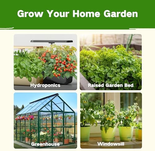 LUSH&DEW Companion Plants Heirloom Seed Bank, Gardening Gifts for Women Men - Image 5