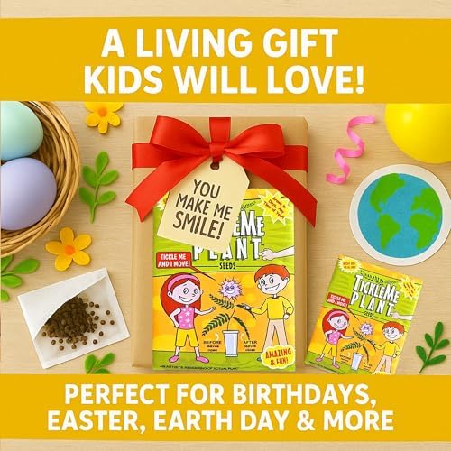 Seeds (2-Pack) – Touch-Sensitive Plant that Closes Leaves When Touched – Easy Indoor House Plant Seeds – Fun Educational Activity for Kids & Adults - Image 5