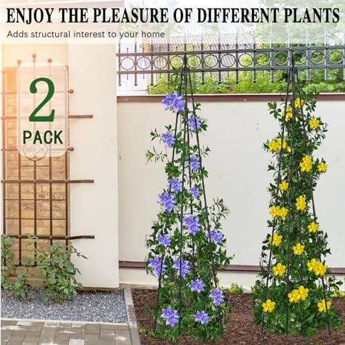 AlisisFores Garden Trellis, 63 inch Tall, 2 PCS - Image 6