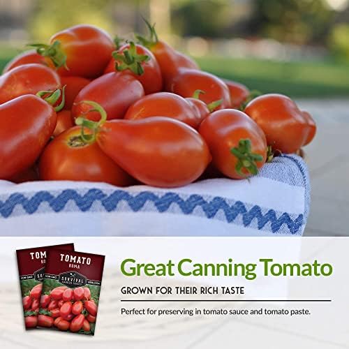 Roma Tomato Seeds for Planting - 3 Packs - Image 4