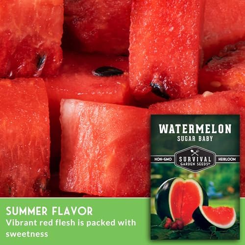 Sugar Baby Watermelon Seeds for Planting - 1 Pack - Image 3