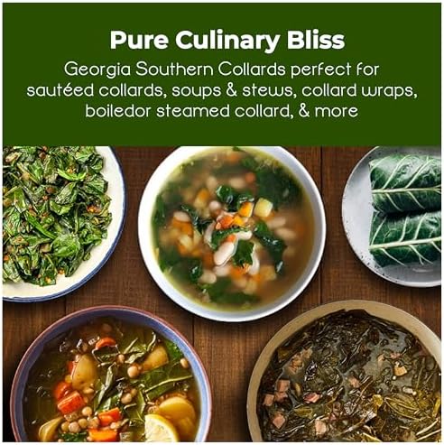 Georgia Southern Collard Greens (Brassica oleracea) Seeds, Non-GMO Heirloom for Planting, 2000 Fresh Seeds for Indoor and Outdoor Gardening – Tender, Flavorful Leaves for Extended Harvests - Image 2