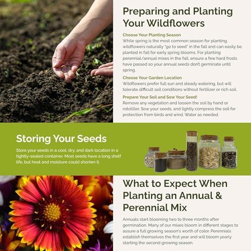 Eden Brothers Utah Wildflower Mixed Seeds for Planting, 1/4 lb - Image 6