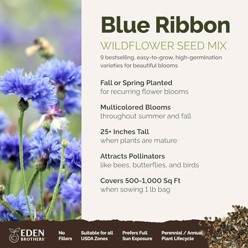 Eden Brothers Blue Ribbon Flower Mixed Seeds for Planting, 1 lb, 480,000+ Seeds with Blue Bell, Cornflower Blue, Chicory | Attracts Pollinators, Plant in Spring or Fall, Zones 3, 4, 5, 6, 7, 8, 9, 10 - Image 2