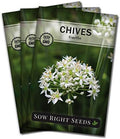 Sow Right Seeds- Garlic Chives Seeds for Planting Perennial Herb Garden 3pk by SowRightSeeds