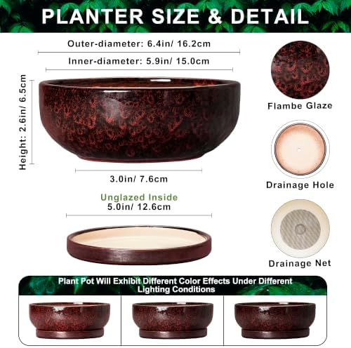 6 Inch Ceramic Succulent Planters with Saucer, Red Leopard - Image 2