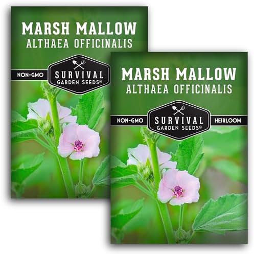 Marsh Mallow Seeds for Planting - Survival Garden Seeds (2 Pack) by SurvivalGardenSeeds