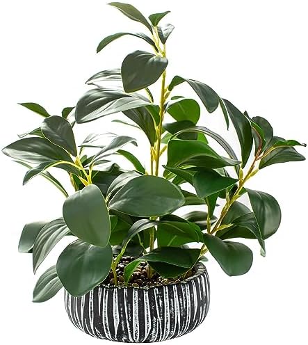 AlphaAcc Fake Plants Potted Artificial Succulents Home Office Decor by AlphaAcc