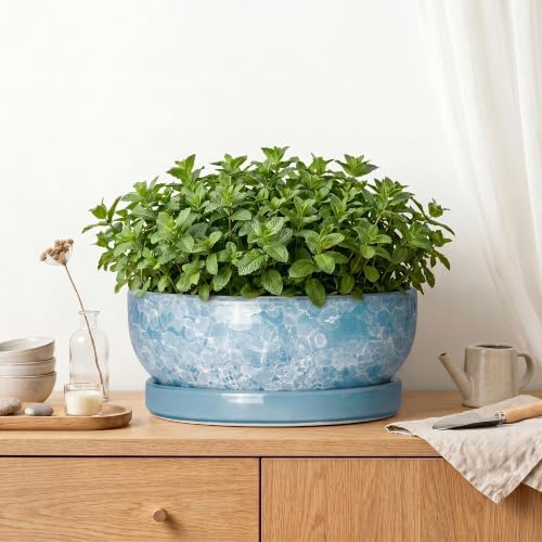 Succulent Planter, 13 Inch Ceramic Bonsai Pots, Droplet Blue - Image 6