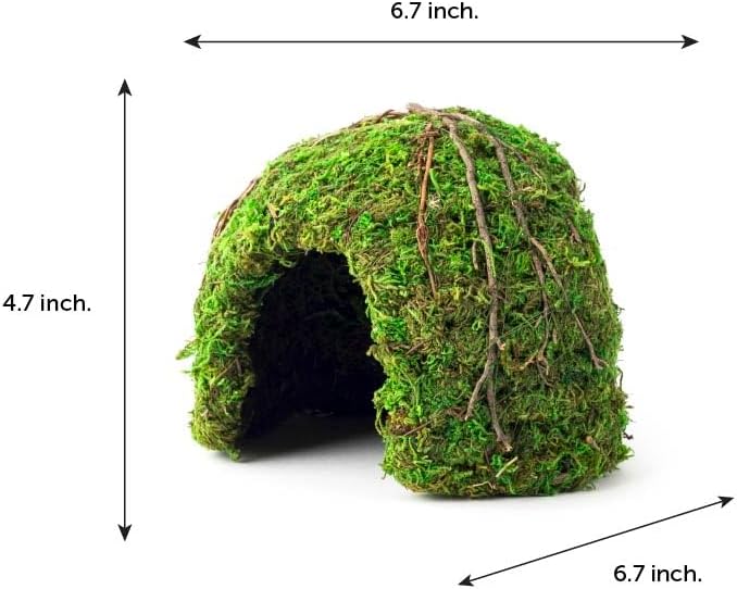 Galapagos (05366 Mossy Dome Hide, 6 in, Galápagos Green - Image 3