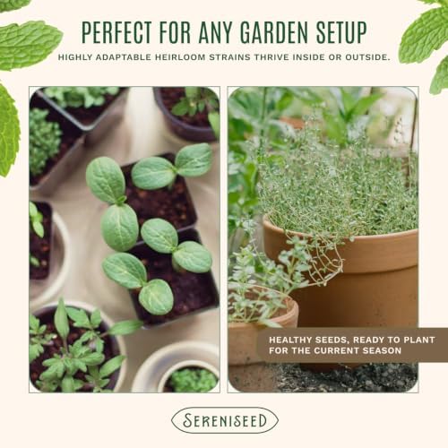 Sereniseed Certified Organic Herb Seeds 35-Pack, Culinary Garden Kit - Image 5