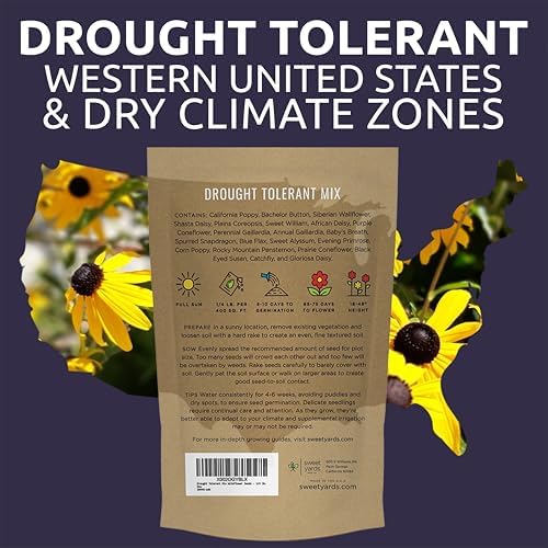 Drought Tolerant Wildflowers Mix – Bulk Quarter Pound Bag – Over 30,000 Open Pollinated Non-GMO Seeds – 21 Different Dryland Species - Image 7
