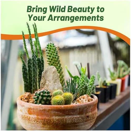 Outsidepride Mix Cactus Seeds - 2000 Pcs Perennial, Drought-Tolerant & Low Maintenance Succulent Seeds for Planting Blooms with Thick & Fleshy Stems for Sunny Gardens & Windowsills - Image 6