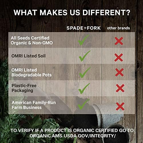 Organic Indoor Vegetable Garden Starter Kit - Made in USA - Certified USDA Organic - 5 Seed Types Cherry Tomato, Lettuce, Carrot, Radish, Green Bean | Indoor Plant Seeds, Indoor Garden Kit, Plant Kit - Image 4