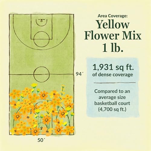 Ferry-Morse Yellow Bulk Wildflower Seeds, 320,000+, 1 lb - Image 6