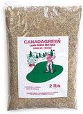 Canada Green Grass Lawn Seed - Grows Healthy Rich Green Grass Lawn Seed Plants Yard Garden 2 Pound Bag by UsolvebyCanadaGreen%C2%AE