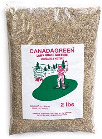 Canada Green Grass Seed - 2 Lb. Bag, Brown by CollectionsEtc