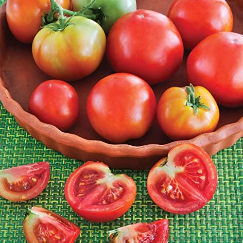 Bonnie Plants Patio Tomato, Live Plant, 19.3 oz., 4-Pack - Image 2