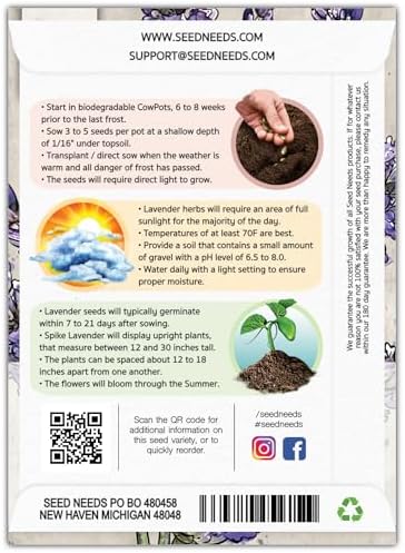 Seed Needs Spike Lavender Seeds to Plant an Herb Garden - 1 Pack - Image 2