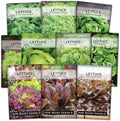 Sow Right Seeds - Large Lettuce Seed Collection for Planting Vegetables by SowRightSeeds