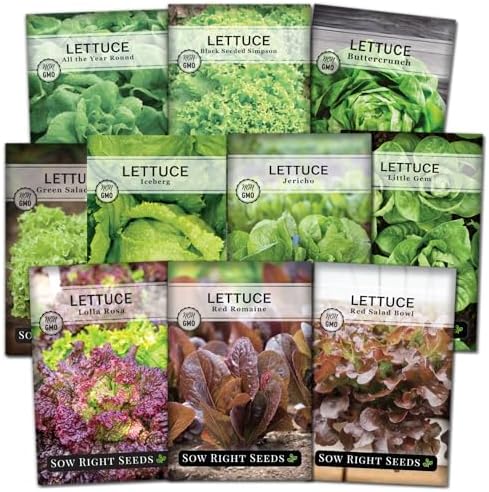 Sow Right Seeds - Large Lettuce Seed Collection for Planting Vegetables by SowRightSeeds