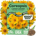 SVI 1000 Dwarf Lance Leaved Coreopsis Seeds (Coreopsis Lanceolata) - Lanceleaf Tickseed, Yellow Wildflower, Drought Tolerant Seed - Perennial Flower Seeds in Seed Packets for Outdoor Garden, Landscape by SVI