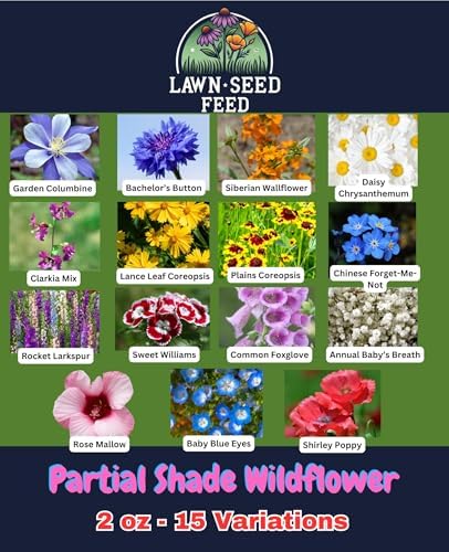 Partial Shade Wildflower Mix Seed (2oz) – Shade-Loving Wildflowers that Produce Vibrant Blooms in Low-Light Areas and Dappled Sun. Perfect for Yards, Garden beds, Fence Lines, and Woodland Edges. - Image 2