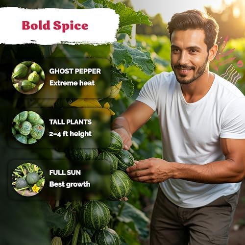50 Round Zucchini Heirloom Vegetable Seeds for Planting, Cucurbita Pepo - Image 4