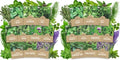 Organic Herb Seeds Variety Pack - 10 Individual Packs - 2026 Season - Basil, Cilantro, Dill, Thyme, Parsley and More! for Indoor & Outdoor Planting (Non-GMO, Certified Organic) (Pack of 2) by SweetYards