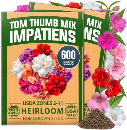 HOME GROWN Impatiens Seeds, Tom Thumb Mix, 600 Seeds, Impatiens balsamina by HOMEGROWN
