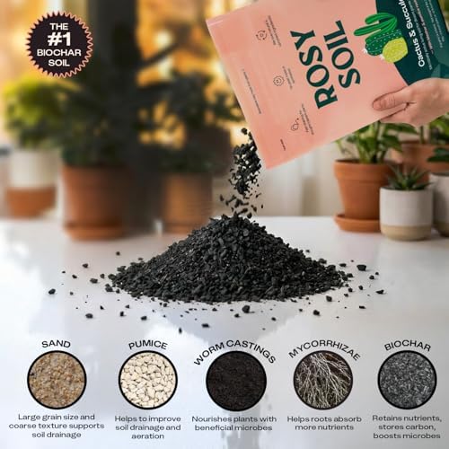 Rosy Soil Cactus & Succulent Potting Mix, 4 Quarts, Pack of 2 - Image 4