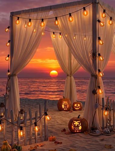 Halloween Orange String Lights, 25Ft G40 Outdoor Halloween Decorations Lights with 27 LED Shatterproof Orange Globe Bulbs, Hanging Patio Lights for Christmas Backyard Holiday Fall Party Garden Decor - Image 6
