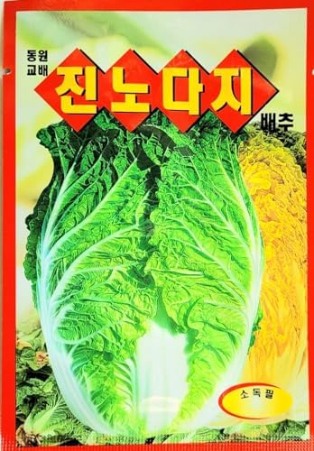 Cabbage Seeds Korea. 2 Pack(4grams-Each) by Unknown