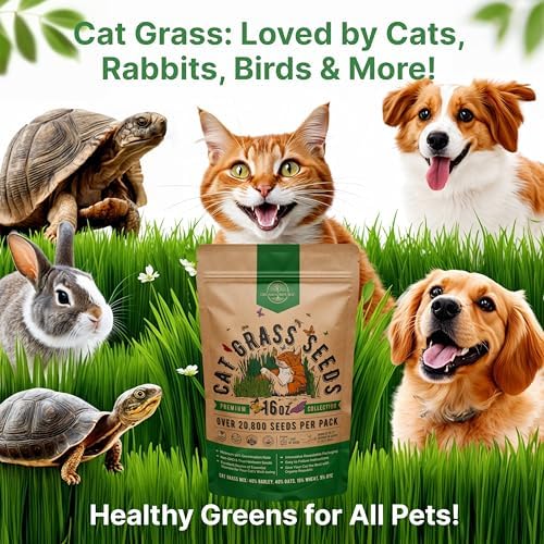 Cat Grass Seeds Mix - 20,800 Non-GMO Heirloom Seeds for Cats & Pets, 16 oz Pack for Growing Fresh Barley, Oat, Rye & Wheat Grass Seeds for Planting, Indoor Plants, Hairball Remedy - Image 6