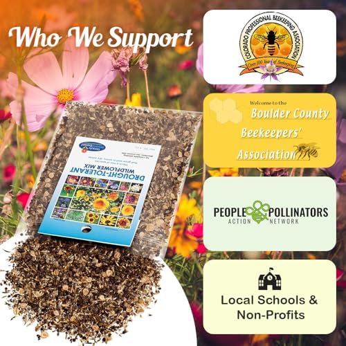 BBB Seed Drought Tolerant Wildflower Seeds Mix, Annual & Perennial, 4 oz - Image 6