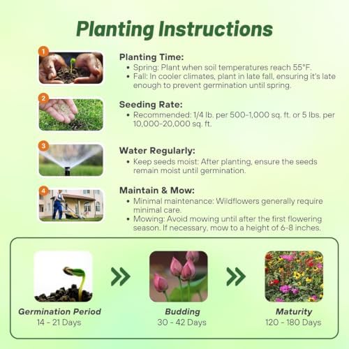 Outsidepride Southeast Wildflower Seed Mix - 1 lb Highly Adaptable, Easy to Grow, Low-Maintenance Mix of Annual & Perennial Wildflower Seeds for Natural Landscapes in Southeastern States - Image 5