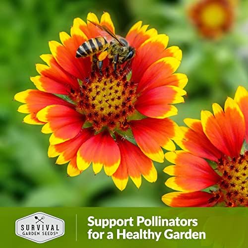 Blanket Flower Seeds for Planting - Survival Garden Seeds (5 Packs) - Image 5