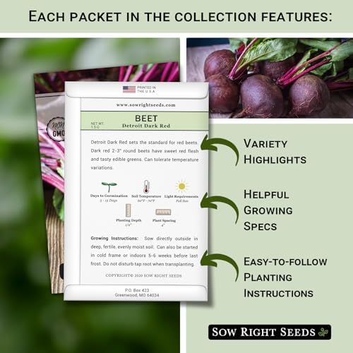 Sow Right Seeds - Beet Seed Collection for Planting Spring or Fall Garden - Image 2