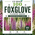 Garden Seeds for Planting, 100 Foxglove by CZGrain