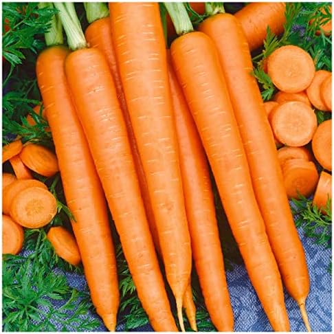 1 Lb Tendersweet Carrot Seeds - Gold Vault by Everwilde+Farms